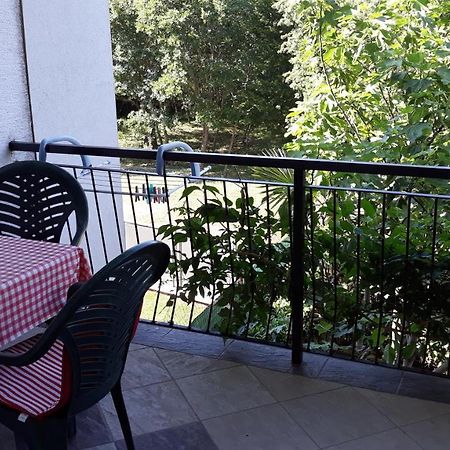 Apartments Mali Maj, Punta 37, Brkljacic Poreč Zewnętrze zdjęcie